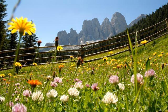 Gasthof Teiser Stern Funes (Bolzano) Exterior foto